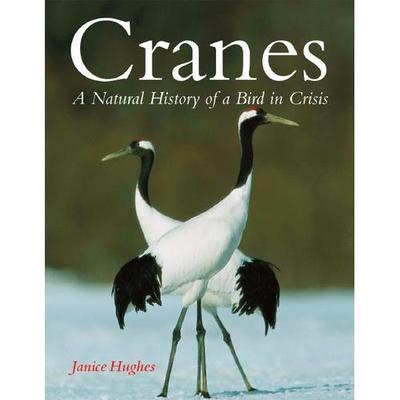 cranes