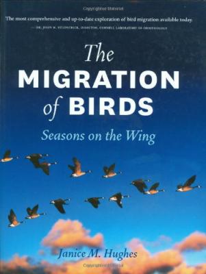 migration of birds