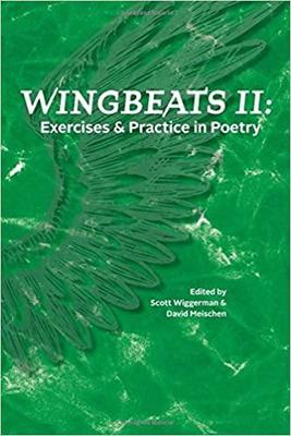 wingbeats ii: exercises & practice in poetry